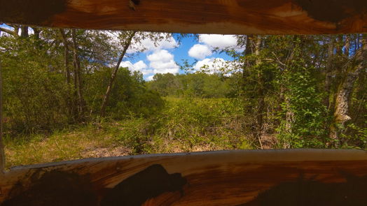 Oakwood null-story, null-bed 0000 TBD County-idx