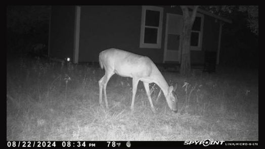 Oakwood null-story, null-bed 0000 TBD County-idx