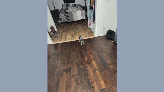 Trinity null-story, 1-bed 160 Bugger Bat Boulevard-idx