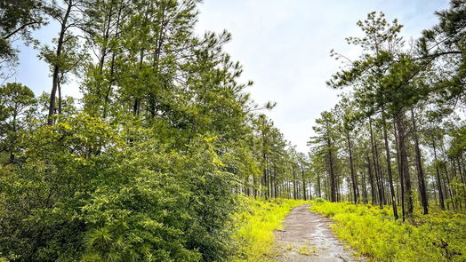 Jasper null-story, null-bed 05 CR 257-idx