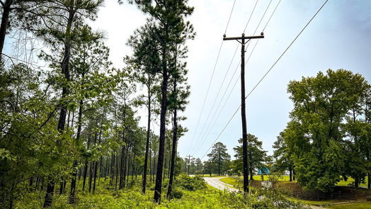 Jasper null-story, null-bed 05 CR 257-idx