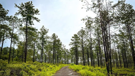 Jasper null-story, null-bed 05 CR 257-idx