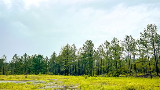 Jasper null-story, null-bed 05 CR 257-idx