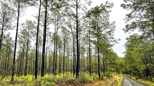 Jasper null-story, null-bed 05 CR 257-idx