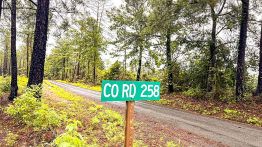 Jasper null-story, null-bed 05 CR 257-idx