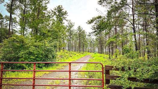 Jasper null-story, null-bed 05 CR 257-idx