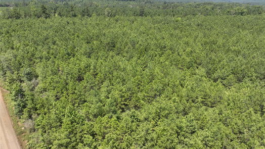 Milam null-story, null-bed 2 Carters Ferry Road-idx