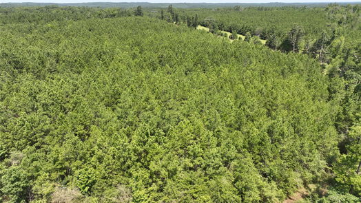 Milam null-story, null-bed 2 Carters Ferry Road-idx