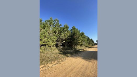 Nacogdoches null-story, null-bed TBD County Road 546 Road-idx