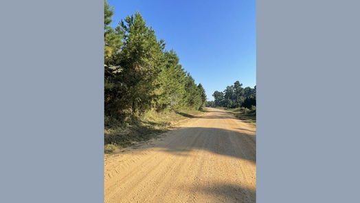 Nacogdoches null-story, null-bed TBD County Road 546 Road-idx