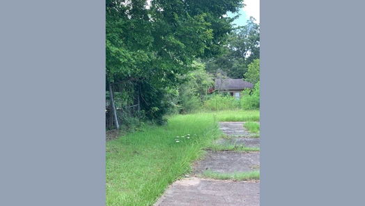 Woodville null-story, null-bed 502 S Magnolia Street-idx