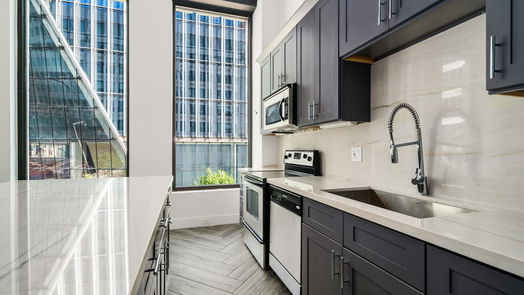 Houston null-story, 2-bed 705 Main Street 206-idx