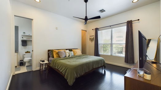 Houston 1-story, 1-bed 207 Pierce Street 308-idx