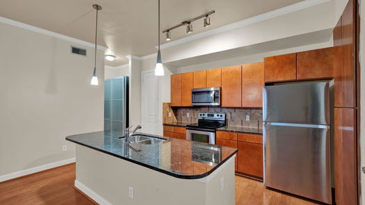 Houston null-story, 1-bed 300 St Joseph Parkway 307-idx