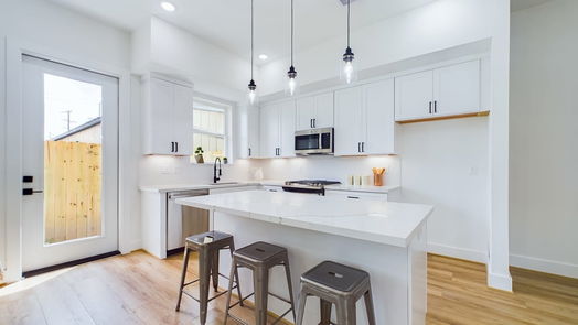 Houston 2-story, 3-bed 3917 Rotman-idx