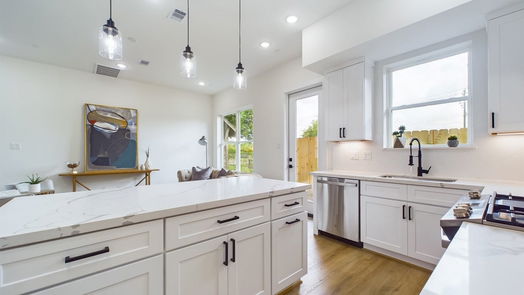 Houston 2-story, 3-bed 3917 Rotman-idx