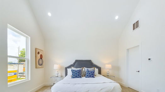 Houston 2-story, 3-bed 3917 Rotman-idx