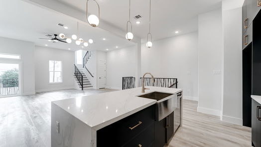 Houston 3-story, 3-bed 3407 Saltus Street-idx
