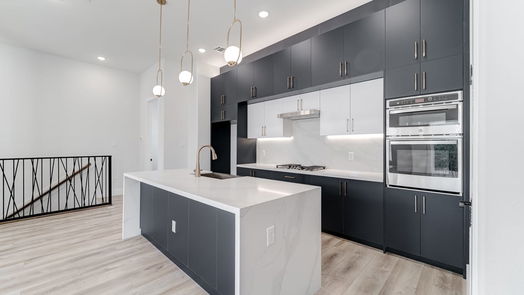 Houston 3-story, 3-bed 3407 Saltus Street-idx