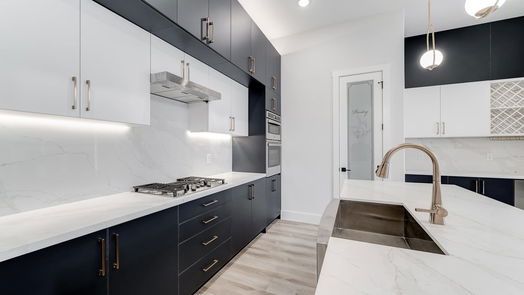 Houston 3-story, 3-bed 3407 Saltus Street-idx
