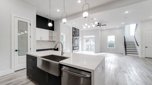 Houston 3-story, 3-bed 3407 Saltus Street-idx