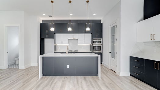 Houston 3-story, 3-bed 3407 Saltus Street-idx