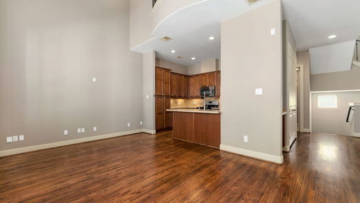 Houston 3-story, 3-bed 1630 Live Oak Street-idx