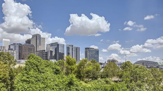 Houston 2-story, 3-bed 1414 Emancipation Avenue C-idx