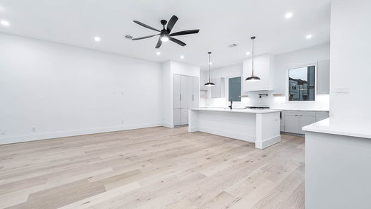 Houston 3-story, 3-bed 317 N Nagle Street-idx