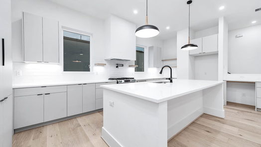 Houston 3-story, 3-bed 317 N Nagle Street-idx