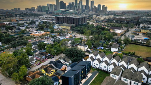 Houston 3-story, 3-bed 317 N Nagle Street-idx