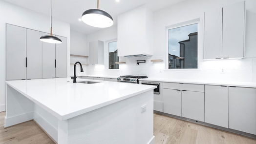 Houston 3-story, 3-bed 317 N Nagle Street-idx