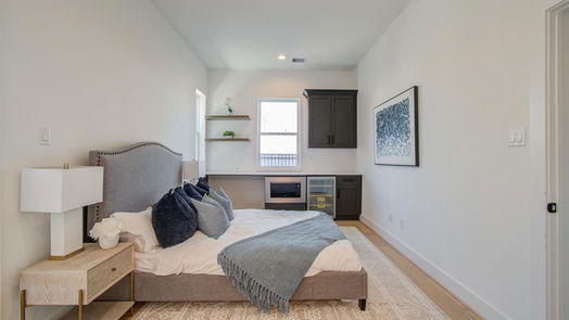 Houston 4-story, 3-bed 1102 Palmer Street-idx