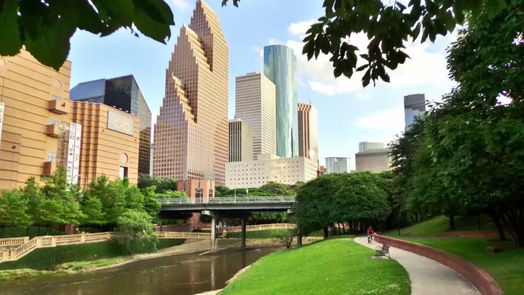 Houston 3-story, 3-bed 2508 Gray Street-idx