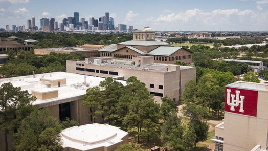 Houston 3-story, 3-bed 2508 Gray Street-idx