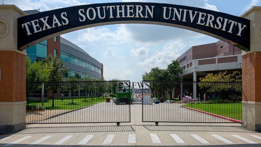 Houston 1-story, 3-bed 3015 Cleburne Street-idx