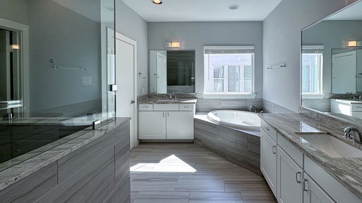 Houston 3-story, 3-bed 2308 Mcilhenny Street-idx