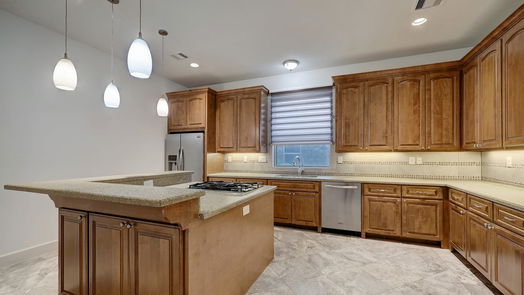 Houston 4-story, 3-bed 1805 Arbor Street-idx