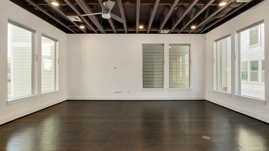 Houston 4-story, 3-bed 3220 La Branch Street-idx