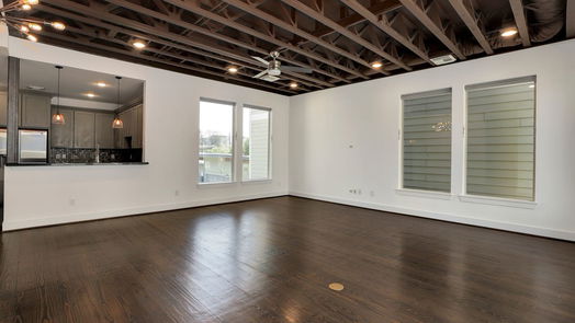 Houston 4-story, 3-bed 3220 La Branch Street-idx