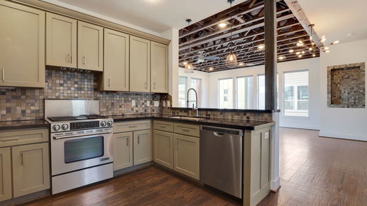 Houston 4-story, 3-bed 3220 La Branch Street-idx