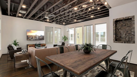 Houston 4-story, 3-bed 3220 La Branch Street-idx