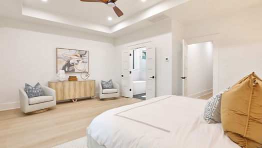 Houston 4-story, 3-bed 2413 Francis Street-idx