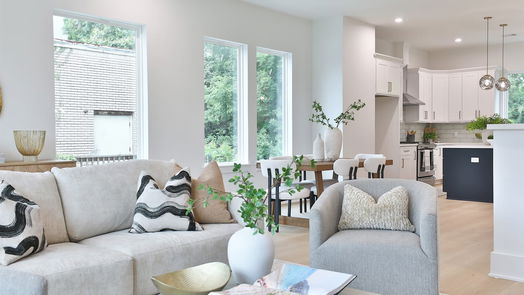 Houston 4-story, 3-bed 2413 Francis Street-idx