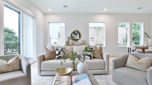 Houston 4-story, 3-bed 2413 Francis Street-idx