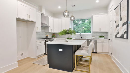 Houston 4-story, 3-bed 2413 Francis Street-idx