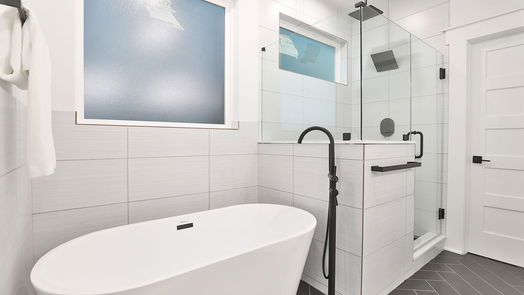 Houston 4-story, 3-bed 2413 Francis Street-idx