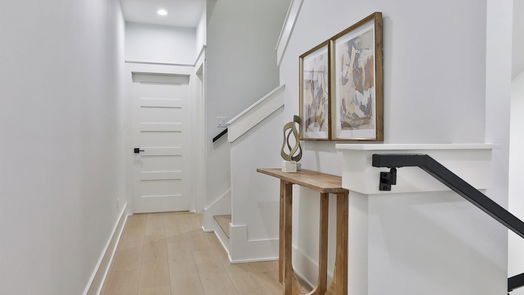 Houston 4-story, 3-bed 2413 Francis Street-idx