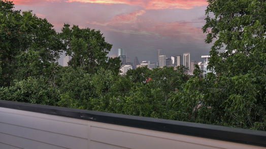 Houston 4-story, 3-bed 2413 Francis Street-idx