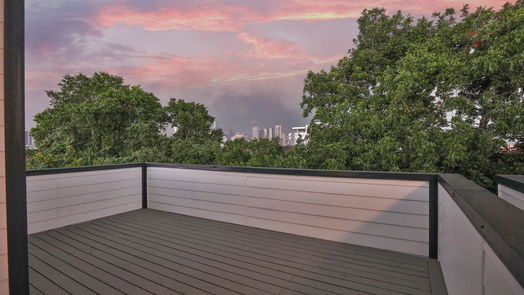 Houston 4-story, 3-bed 2413 Francis Street-idx